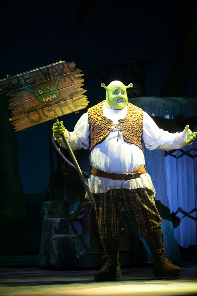 Shrek Costume